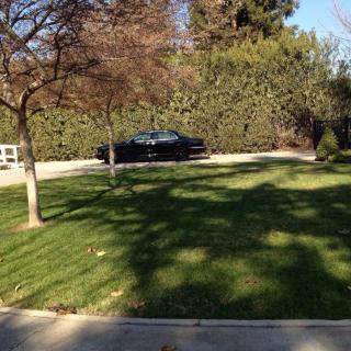 A black car is parked on a driveway next to a lush green lawn with trees casting shadows in the sunlight.