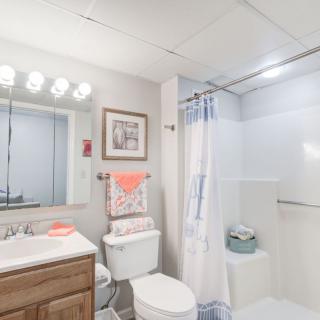 A well-lit bathroom with a mirror, sink, toilet, and shower, featuring decorative touches.