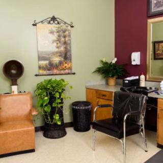 A well-decorated salon interior with chairs, a mirror, plants, and wall decor.
