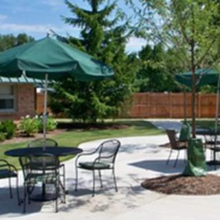 A sunny outdoor patio with tables and chairs under green umbrellas, surrounded by trees.