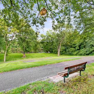 A peaceful park scene featuring a lonely bench along a winding pathway surrounded by lush greenery.