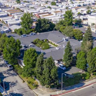 Aerial view of a suburban residential area surrounded by trees.