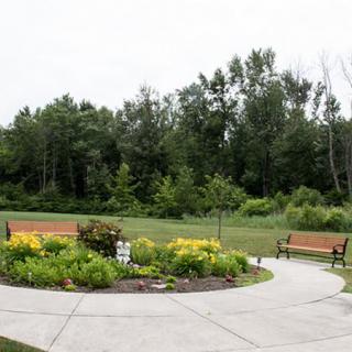 A tranquil park scene featuring a pathway surrounded by lush greenery and benches.