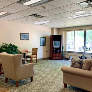 A cozy office lounge area with sofas, chairs, and indoor plants.