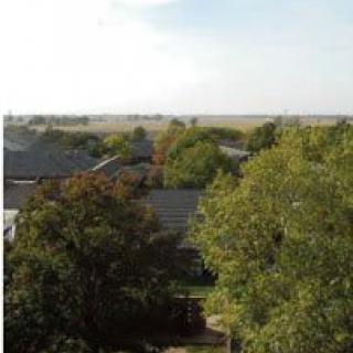 A scenic view of rooftops surrounded by lush green trees under a clear sky.