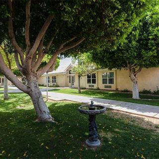 A serene outdoor area with lush trees, a building in the background, and a small fountain on a grassy lawn.
