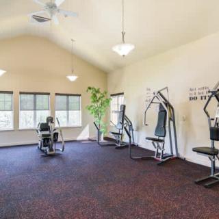 A well-lit gym with various fitness machines and large windows.