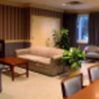 A cozy living room with a sofa, coffee table, chairs, and an indoor plant.