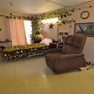 A cozy room with a hospital bed, armchair, and decorative plants.