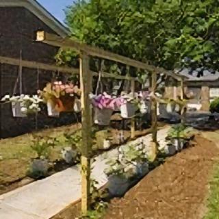 A garden setup with hanging plants and a neatly landscaped pathway.