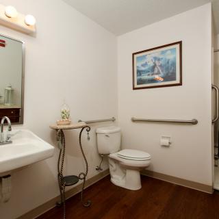 A well-organized bathroom with a toilet, sink, and mirror, featuring wall art and handrails for support.