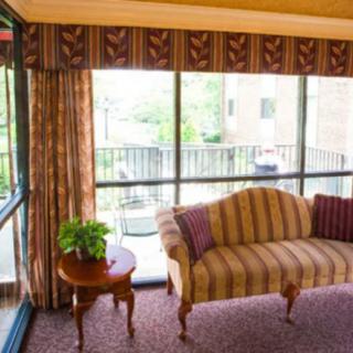 A cozy living room with a striped sofa, large windows, and a side table holding a plant.
