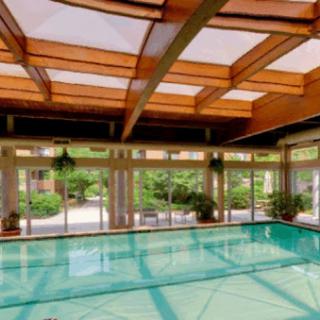 A serene indoor swimming pool bathed in natural light, surrounded by lush greenery.