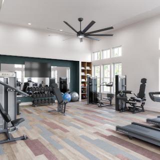 A modern fitness gym equipped with various exercise machines and a spacious layout.