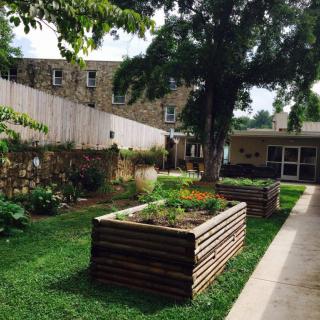 A serene garden with raised beds, surrounded by trees and adjacent to a building.