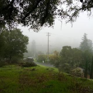 A serene and misty landscape, where the fog blankets the surroundings, creating an atmosphere of tranquility.
