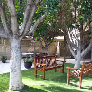 A serene outdoor space featuring wooden benches under lush trees, perfect for relaxation.