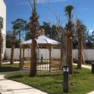 A sunny outdoor scene featuring a gazebo surrounded by palm trees and grass.