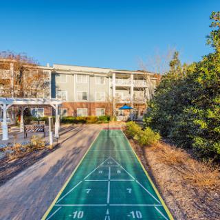 A vibrant shuffleboard court surrounded by lush greenery, ideal for community recreation.