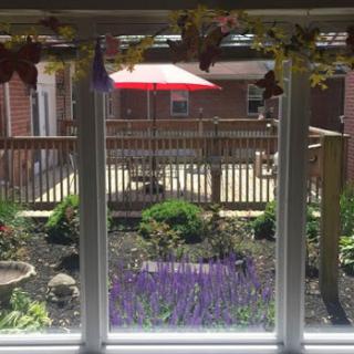 A serene view from a window showcasing a vibrant garden with lavender and a patio area featuring a red umbrella.