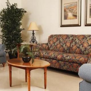 A cozy living room with a floral sofa, wooden coffee table, lamp, and decorative plants.