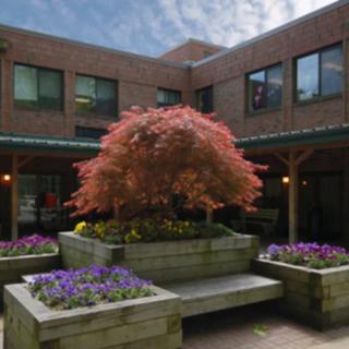 A peaceful courtyard featuring a central tree surrounded by vibrant flower beds and a brick building in the background.