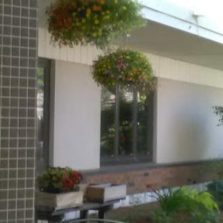 A serene outdoor space featuring lush hanging planters and a stylish building facade.