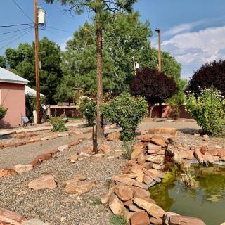 A serene garden with a small pond surrounded by stones and various trees.