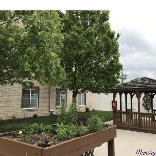 A landscaped garden with a tree and gazebo next to a building.