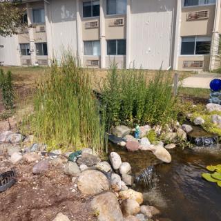 A serene pond surrounded by rocks and lush plants, with a building in the background.