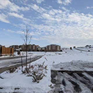 A serene winter landscape with fresh snow covering the ground and a clear blue sky.