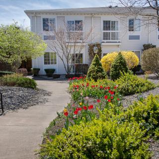 A beautifully landscaped garden pathway leading to a residential building, adorned with colorful flowers and lush shrubs.