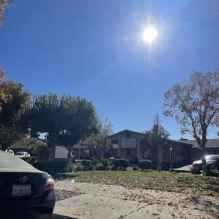 A bright day with clear skies and trees shedding autumn leaves in a quiet residential neighborhood.