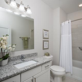 A modern bathroom with a granite countertop and elegant decor.