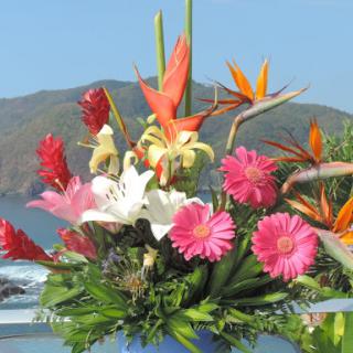 A vibrant tropical flower bouquet showcasing a variety of blossoms against a scenic backdrop.