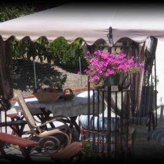 A cozy outdoor patio with a canopy, table, chairs, and vibrant flowers.