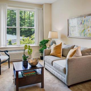 A cozy living room with a sofa, coffee table, and decorative pillows, plemented by indoor plants and a large window.