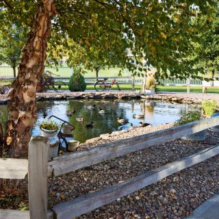 A serene pond surrounded by trees and a wooden fence, with ducks swimming under the shade.