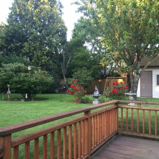 A peaceful backyard with a wooden deck overlooking a lush garden and trees.