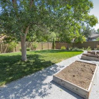 A sunny backyard with a tree and raised garden beds.