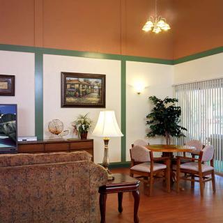 A cozy living room with a sofa, table, and decor elements like lamps and plants.