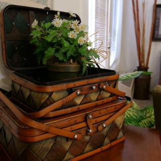 A decorative stack of vintage suitcases with a plant inside adds charm to the interior.