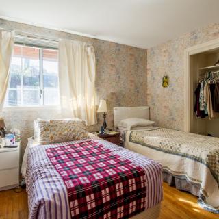 A cozy bedroom with twin beds, natural light streaming in through the window.