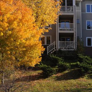 A scenic view of an apartment building surrounded by vibrant autumn foliage.