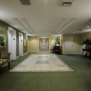 A well-lit, carpeted hallway featuring elevator doors and decorative elements.