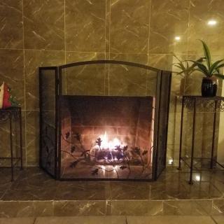 A cozy fireplace with a protective screen, surrounded by indoor plants.