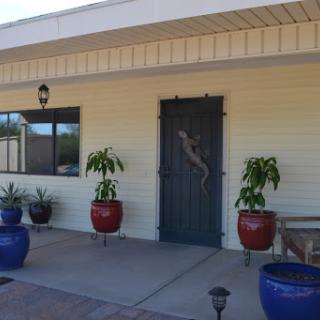 A charming southwestern-style home entrance with vibrant potted plants.