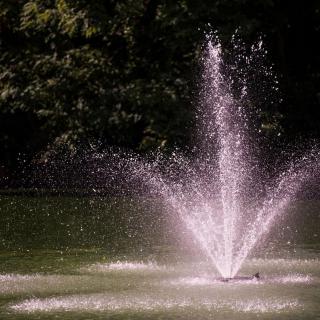 A water fountain spraying in a park setting.