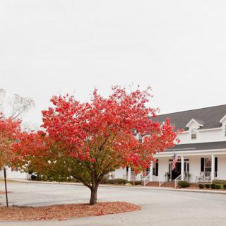 A picturesque autumn scene featuring a tree with vibrant red leaves in front of a house on an overcast day.