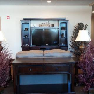 A living room setup featuring an entertainment center with a television, flanked by lamps and decorative plants.